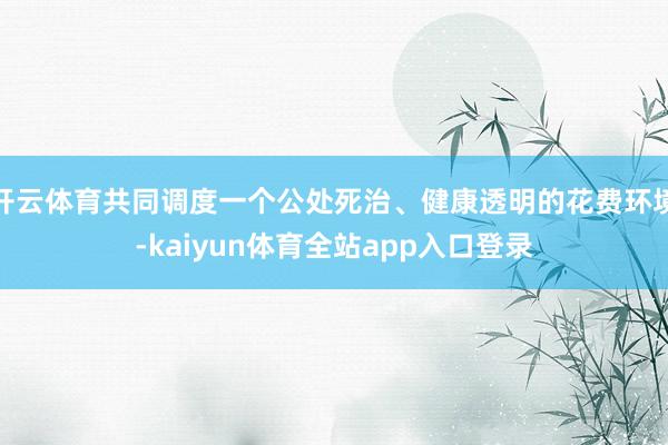 开云体育共同调度一个公处死治、健康透明的花费环境-kaiyun体育全站app入口登录