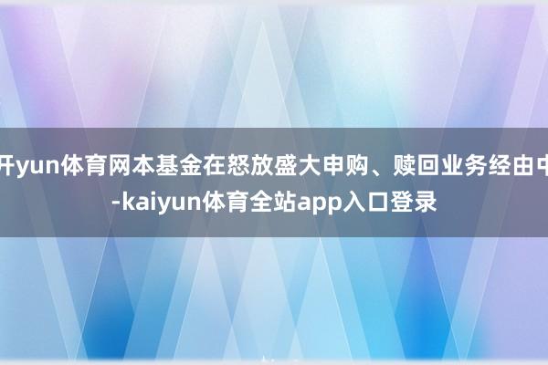 开yun体育网本基金在怒放盛大申购、赎回业务经由中-kaiyun体育全站app入口登录